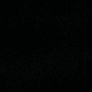 Meet your Posher, Janice